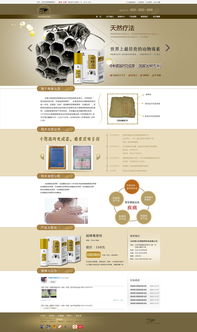 网页设计指南 从初稿到专业作品的进阶之路