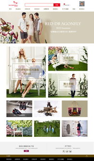 红蜻蜓网站设计与用户体验优化
